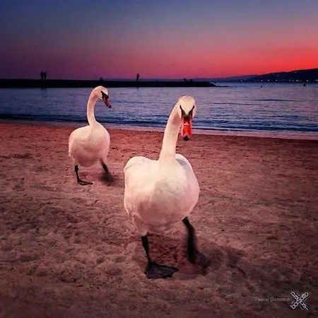 公寓 La New 75 M2 Very Quiet 滨海卡涅